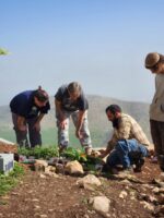 ⁦בואי להיות שותפה איתי בפרויקט בחוות הר בזק⁩ – תמונה ⁦4⁩