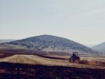 ⁦בואי להיות שותפה איתי בפרויקט בחוות הר בזק⁩ – תמונה ⁦6⁩