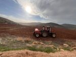⁦בואי להיות שותפה איתי בפרויקט בחוות הר בזק⁩ – תמונה ⁦9⁩