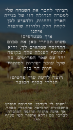 בואי להיות שותפה איתי בפרויקט בחוות הר בזק